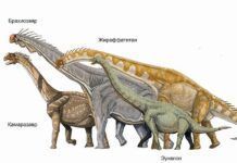 長頸與獠牙：馬什和科普的化石戰爭（中）