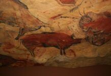 古代洞窟畫家為何有意使自己處於缺氧狀態？