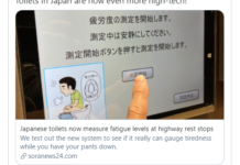 日本一公路服務區推新馬桶 會測量司機在旅途中的疲勞度