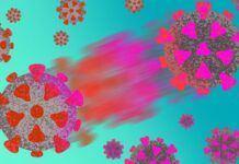 研究：高傳染性新冠病毒變種在被發現之前就已在全球傳播數月