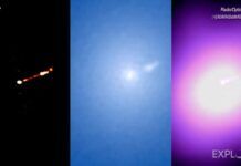 天文學家發布新視頻：通過多波長觀測揭示黑洞對M87星系的影響