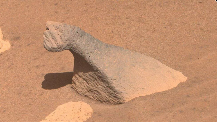 NASA毅力號火星車拍攝到「腕龍」形狀的岩石