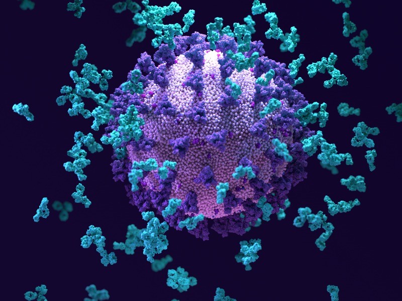 新冠患者中提取出「超強抗體」　美科學家：有效對抗多種冠狀病毒！