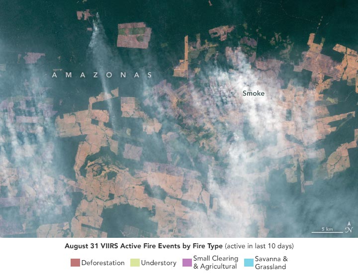 研究：亞馬遜西部煙霧彌漫的天空主要是由森林砍伐引起的火災產生