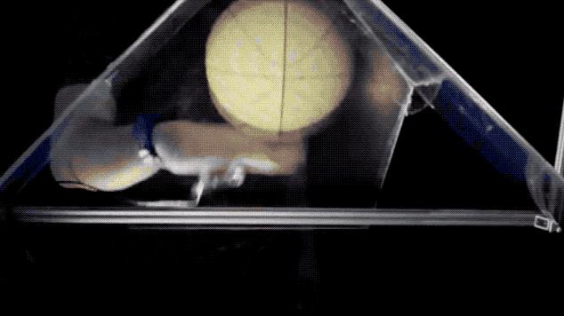 科學家發明能摸到的全息投影，拍虛擬籃球觸感宛如真球