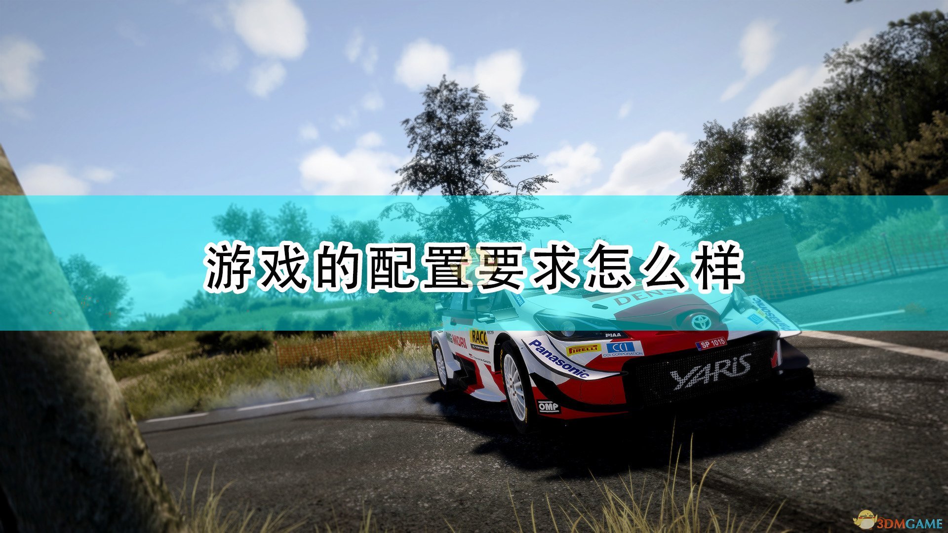 《世界汽車拉力錦標賽10》遊戲配置要求一覽