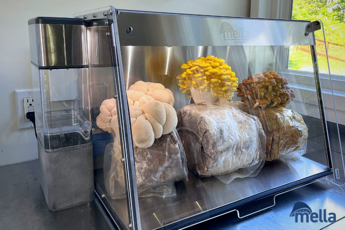 新鮮採摘：FirstBuild推出Mella智能廚房蘑菇養殖艙