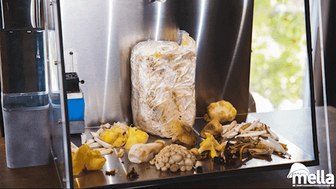 新鮮採摘：FirstBuild推出Mella智能廚房蘑菇養殖艙