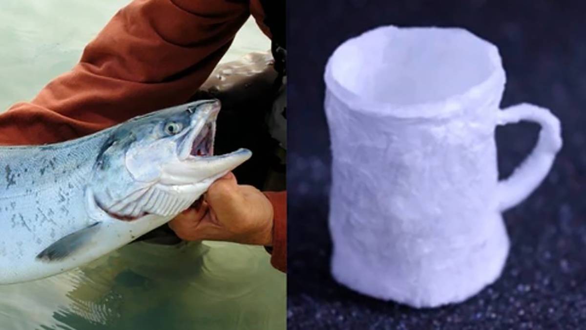 用鮭魚精子製造的塑料替代品來了，可以被水回收