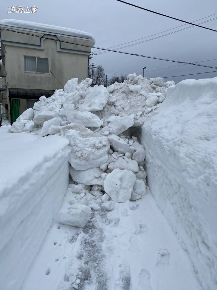 還有哪條主線沒走完？日本網友發布大雪封路的照片