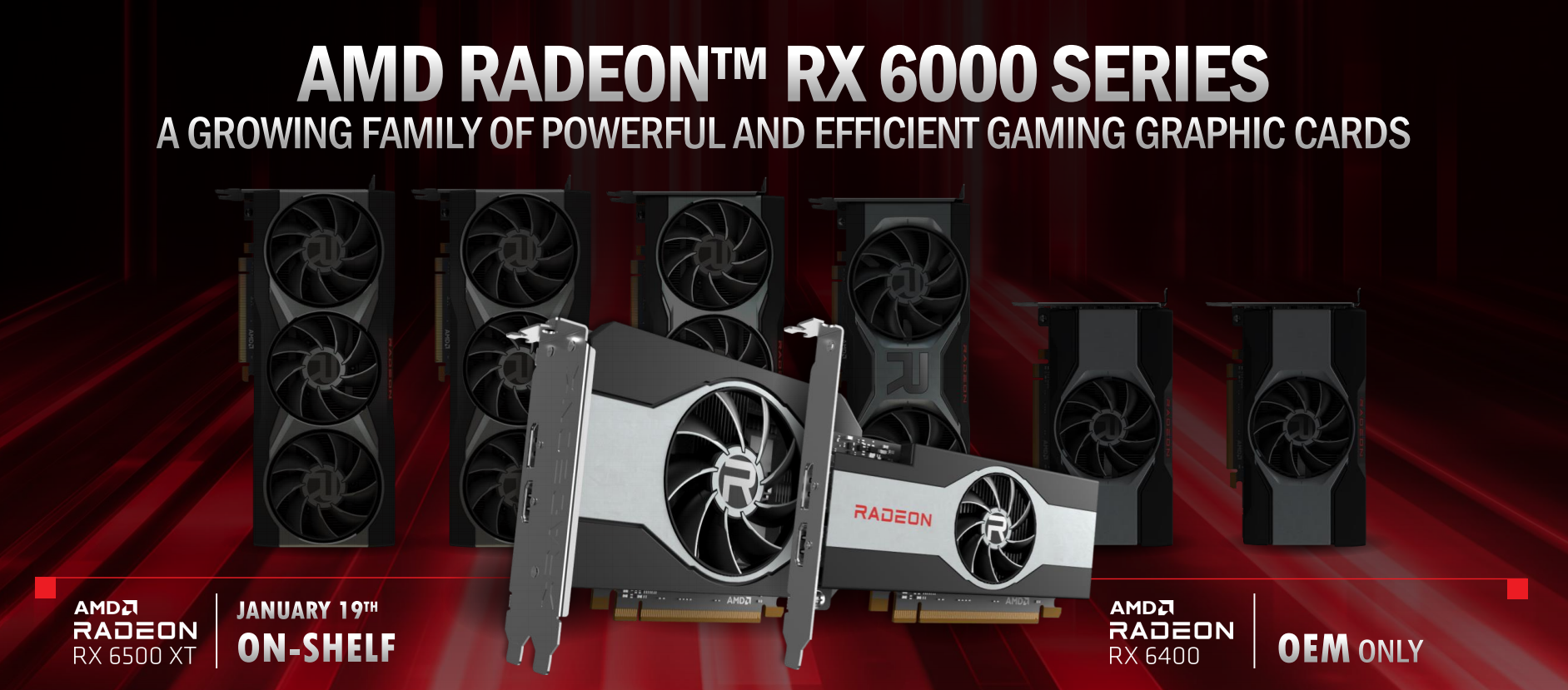 真的1599元 AMD正式發布入門新卡RX 6500 XT：功耗優秀
