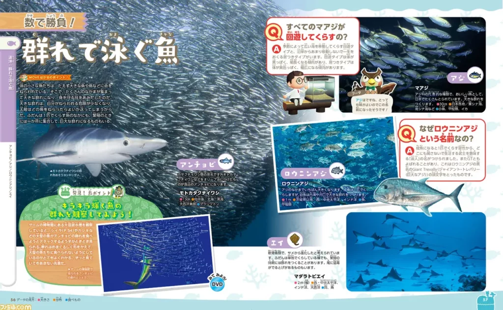 寓教於樂《動物森友會》將在日本推出百科全書