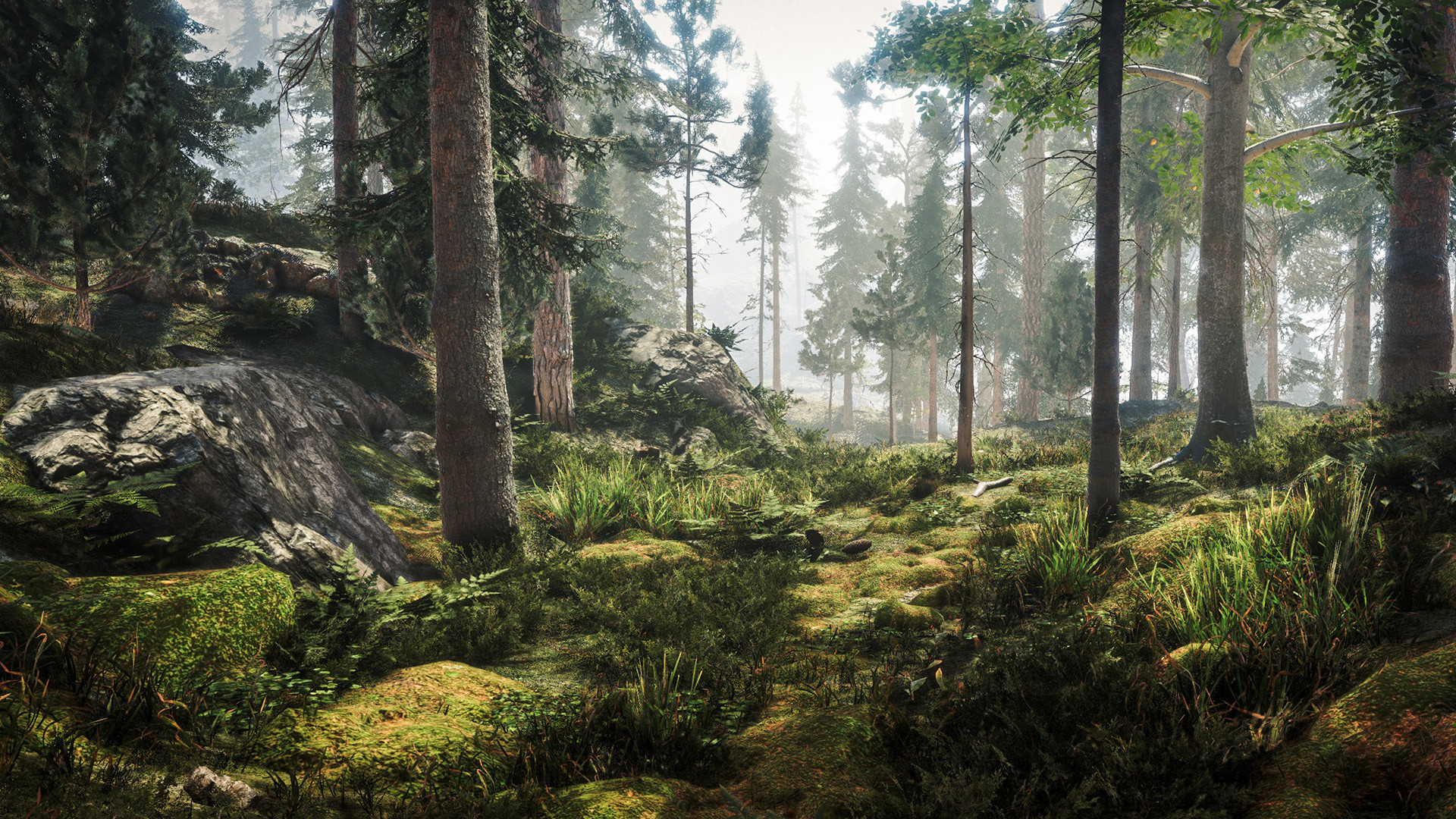 第一人稱生存冒險遊戲《黑森林迷蹤》宣傳片公布