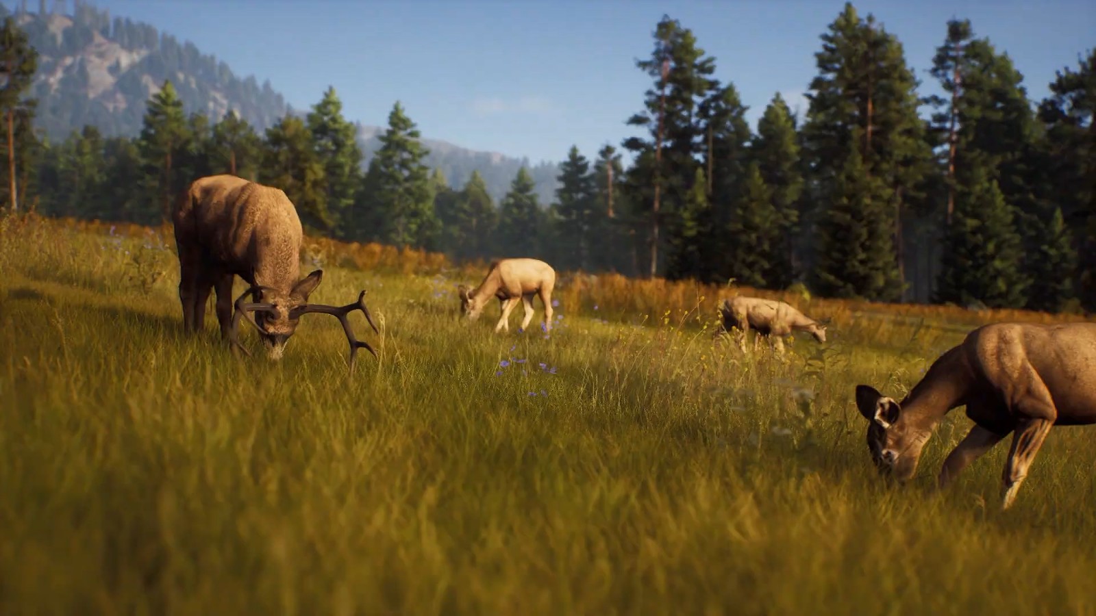 《狩獵之道》8月16日發售 體驗風景如畫的狩獵之旅
