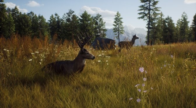 狩獵模擬遊戲《狩獵之道》新實機預告/配置信息公布