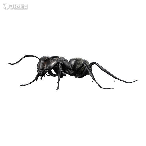 BANDAI: 22年12月 扭蛋 生物大圖鑒 螞蟻