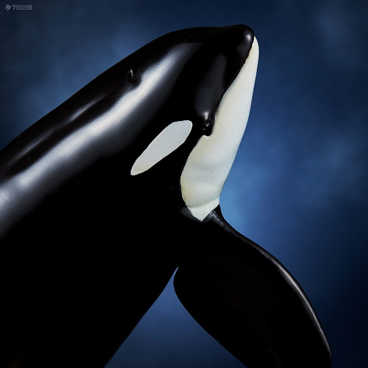 海洋堂 2023年9月 NATURE TALES系列 300個限定版 虎鯨