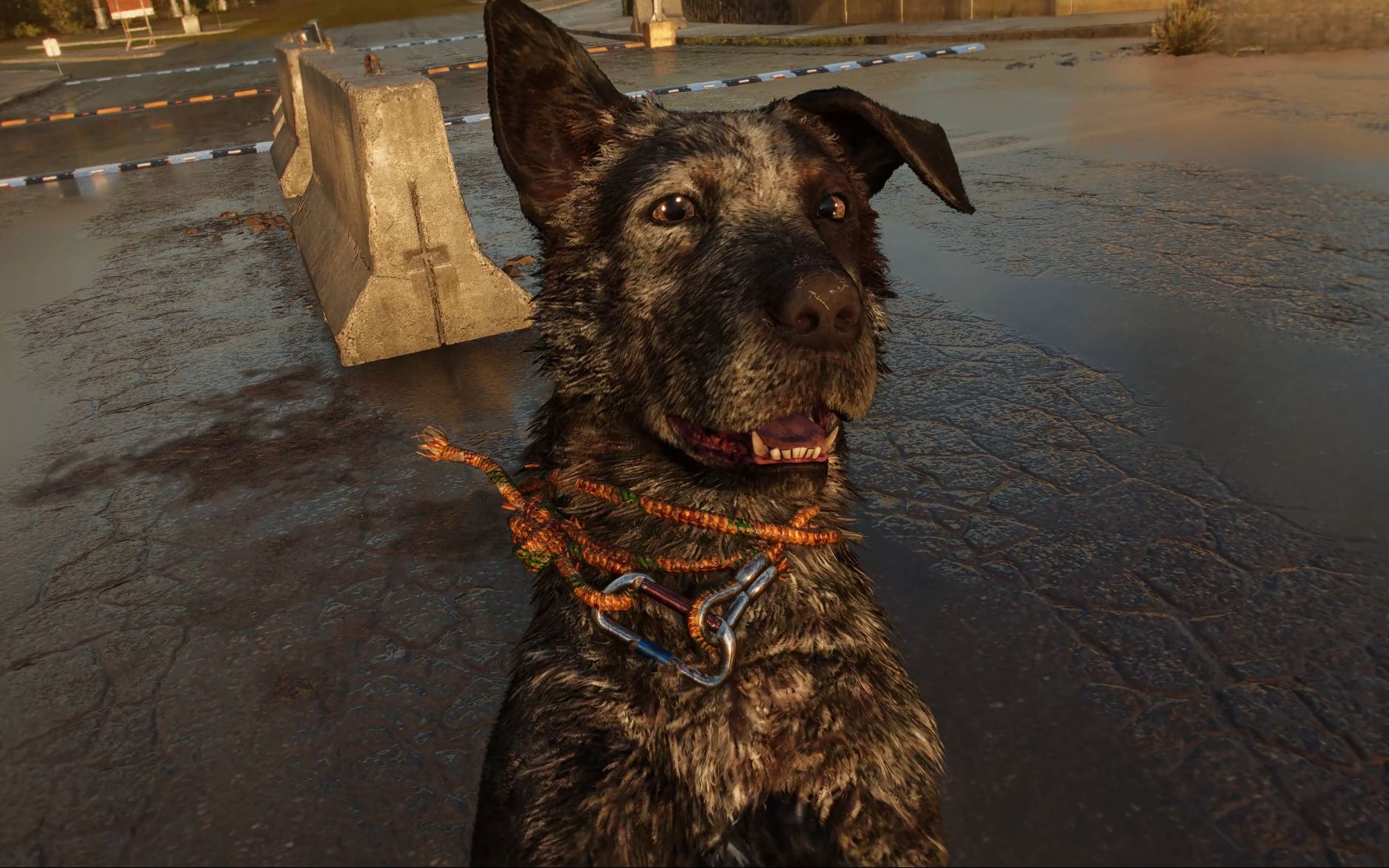 《極地戰嚎6》寵物狗標記方法
